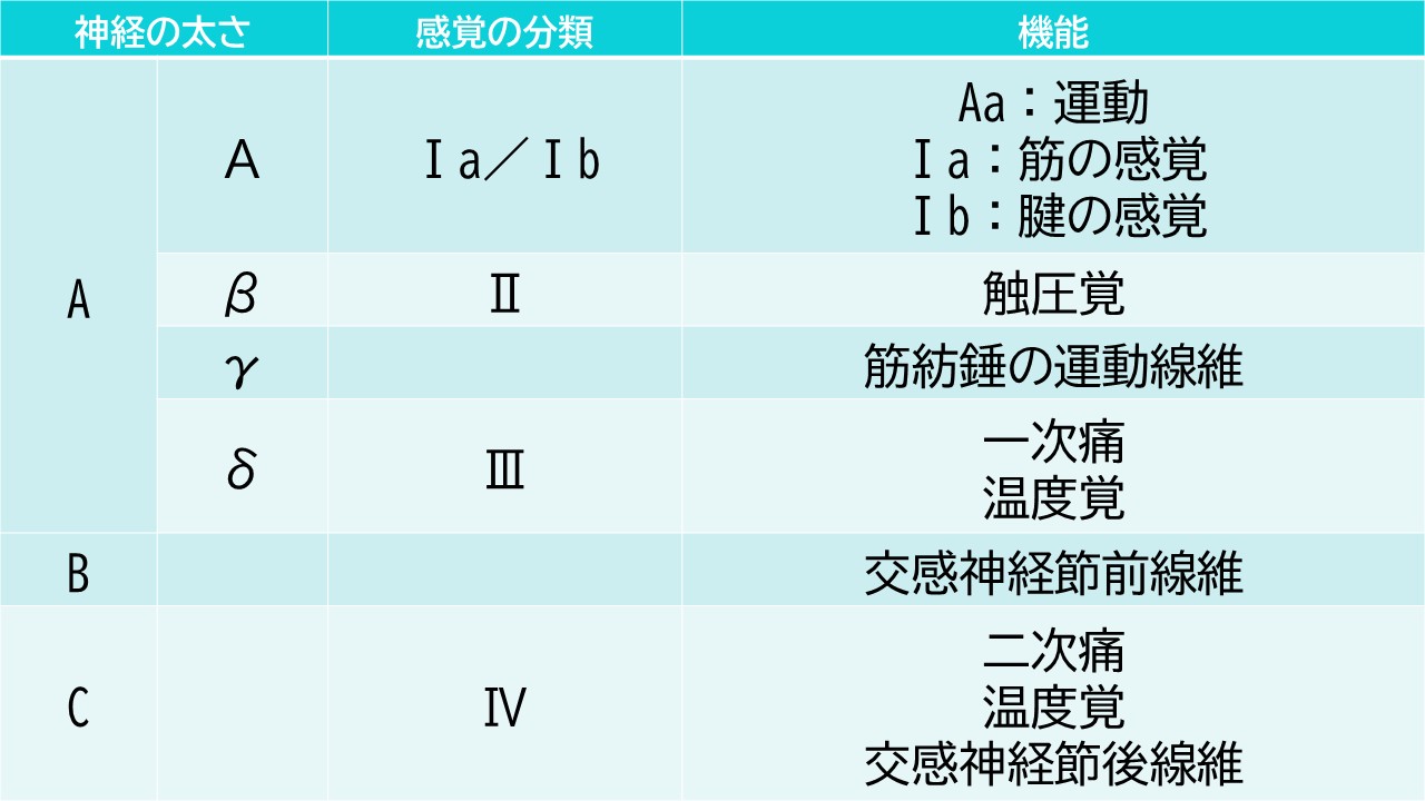 神経の分類図解